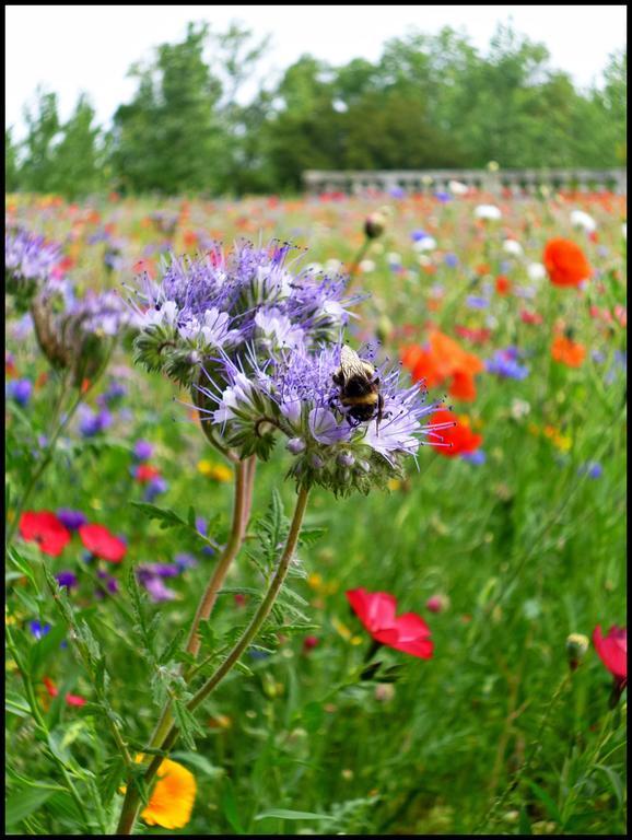 Chateau De Panloy Port-d'Envaux ภายนอก รูปภาพ